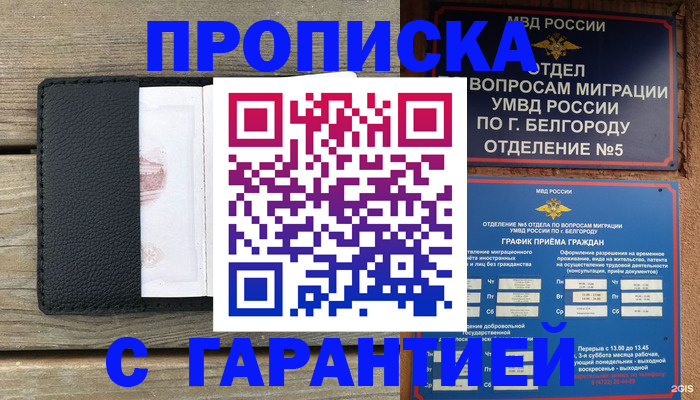 купить прописку в Белгородской области